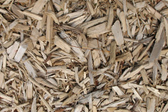 biomass boilers Turleygreen